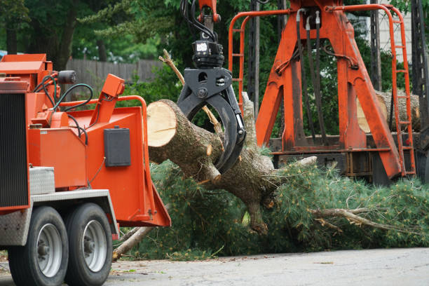 Best Tree Mulching  in Sunnyvale, TX